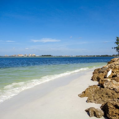Siesta Key Beach white sand and clear water