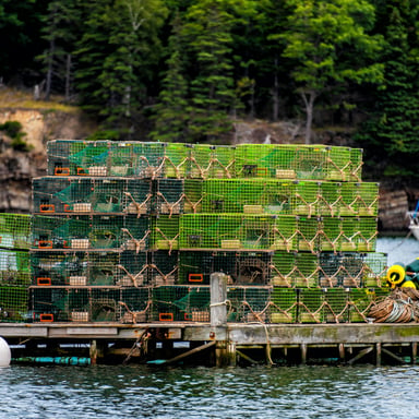 Lobster traps stacked on a dock in a New England harbor