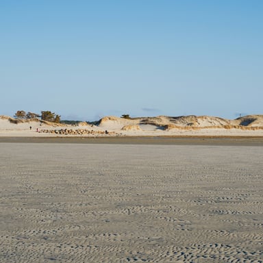 Wide open Cape Cod beach with rolling dunes
