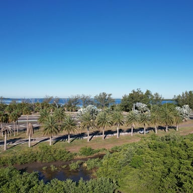 Palm-lined waterfront at Sarasota Bayfront Park