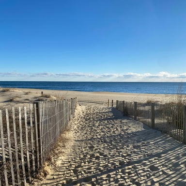 Sandy beach path through dune fencing at Race Point
