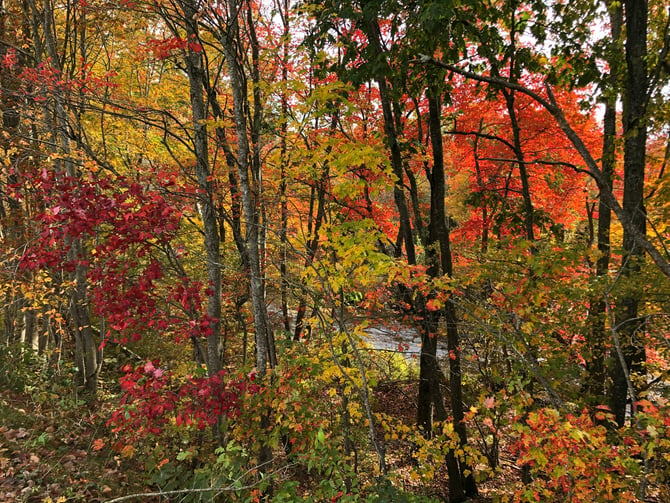 Cotton Valley Rail Trail
