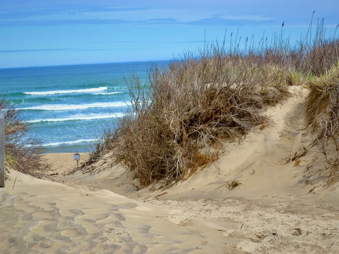 Herring Cove Beach