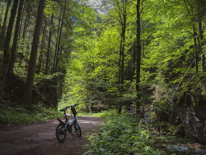 Province Lands Bike Trail